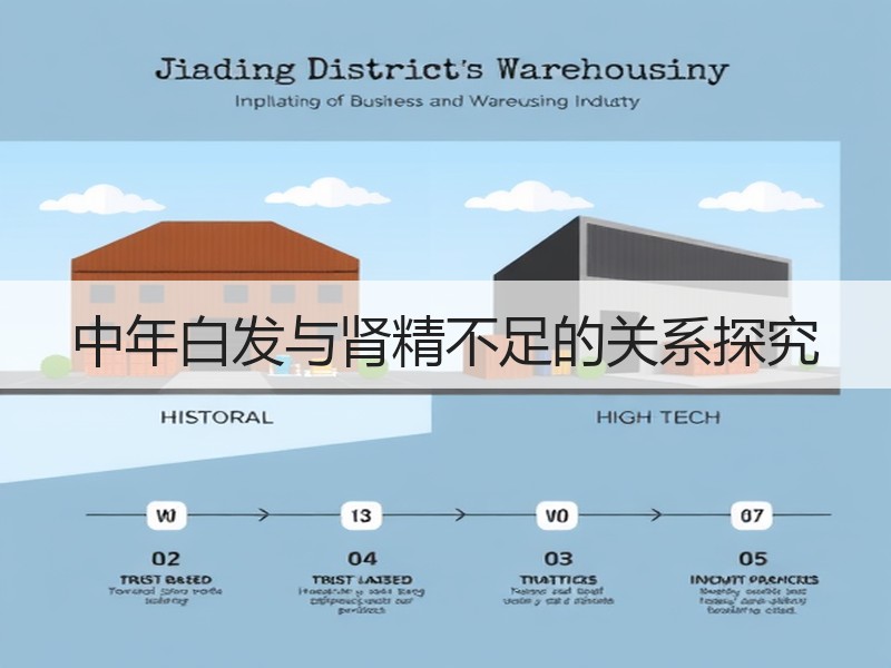 中年白发与肾精不足的关系探究
