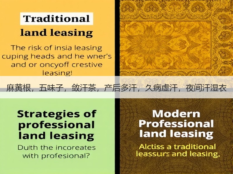 麻黄根，五味子，敛汗茶，产后多汗，久病虚
