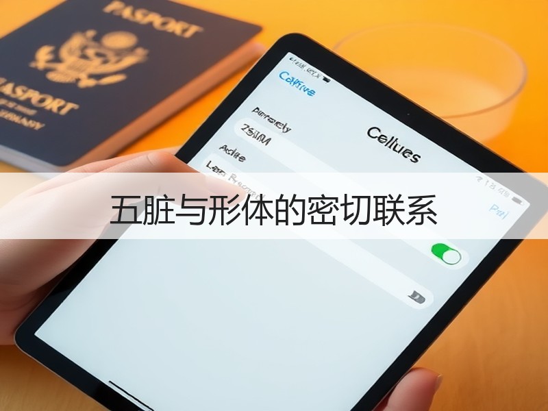 五脏与形体的密切联系