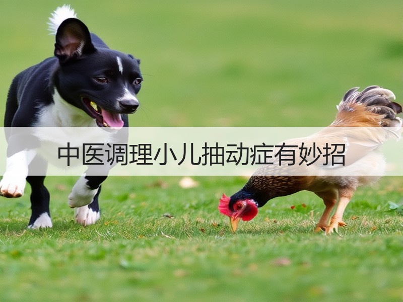 中医调理小儿抽动症有妙招
