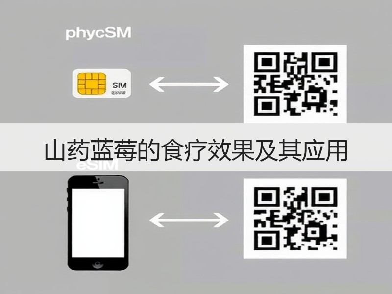 山药蓝莓的食疗效果及其应用
