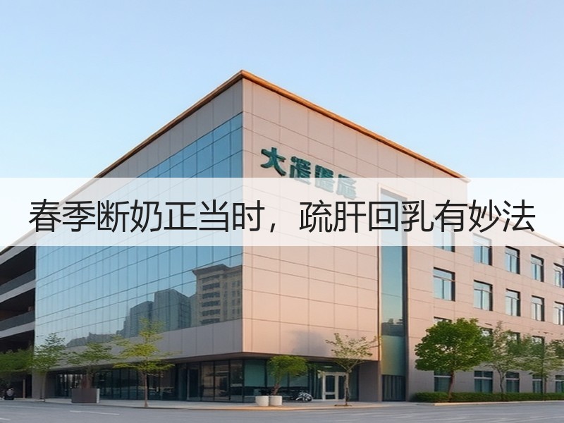 春季断奶正当时，疏肝回乳有妙法