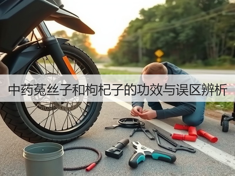 中药菟丝子和枸杞子的功效与误区辨析