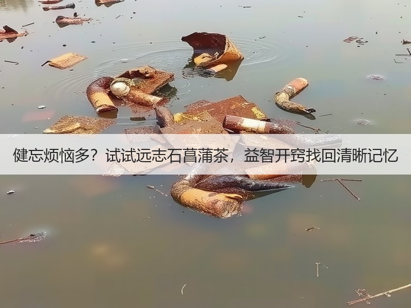 健忘烦恼多？试试远志石菖蒲茶，益智开窍找