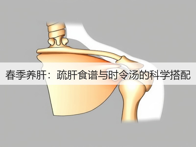 春季养肝：疏肝食谱与时令汤的科学搭配