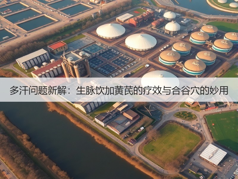 多汗问题新解：生脉饮加黄芪的疗效与合谷穴