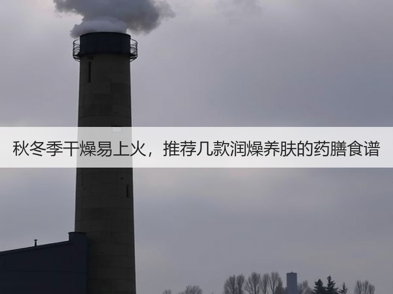 秋冬季干燥易上火，推荐几款润燥养肤的药膳