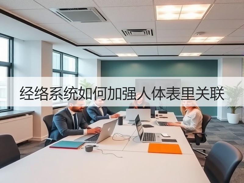经络系统如何加强人体表里关联
