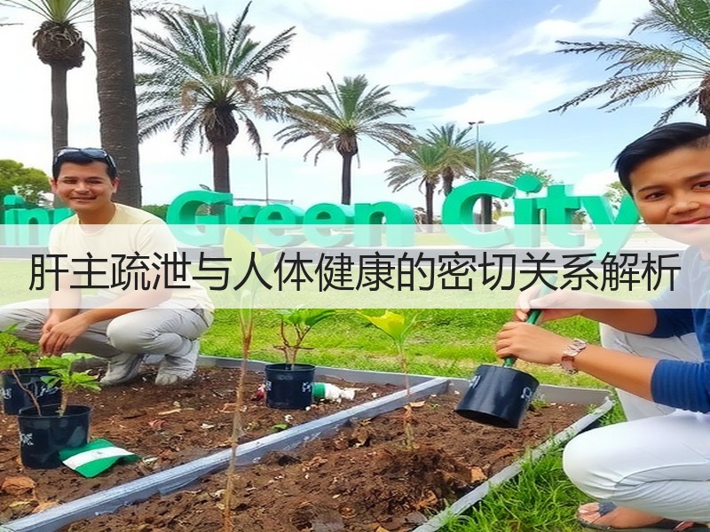 肝主疏泄与人体健康的密切关系解析