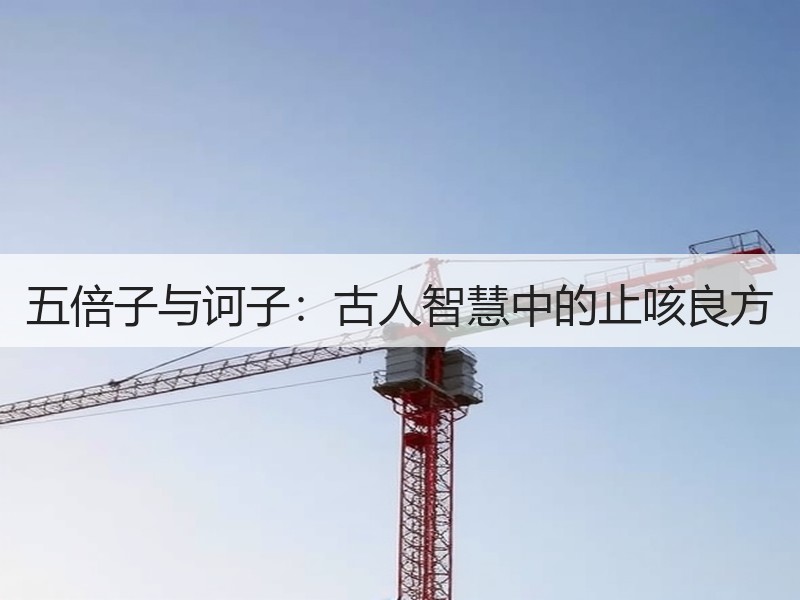 五倍子与诃子：古人智慧中的止咳良方