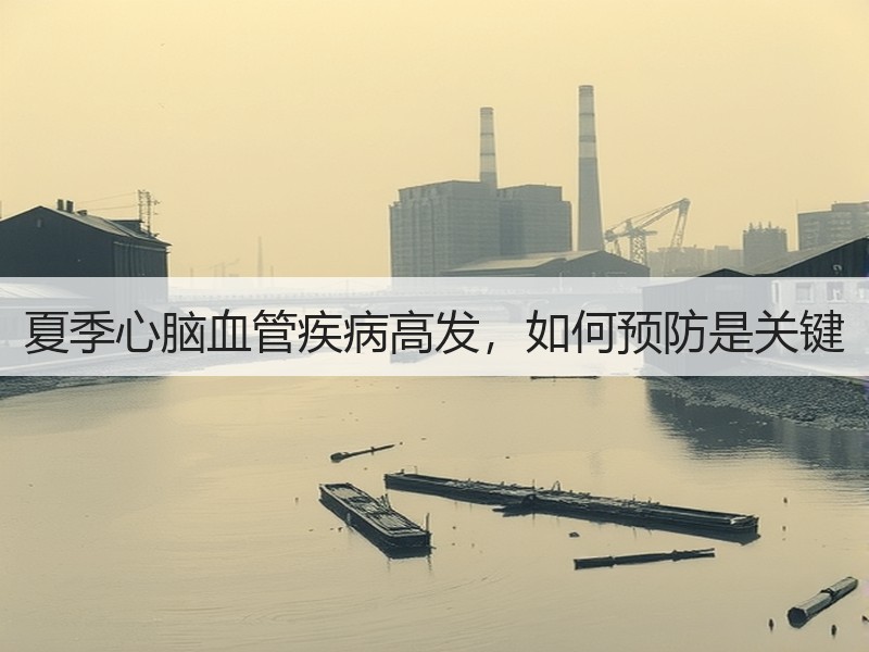 夏季心脑血管疾病高发，如何预防是关键