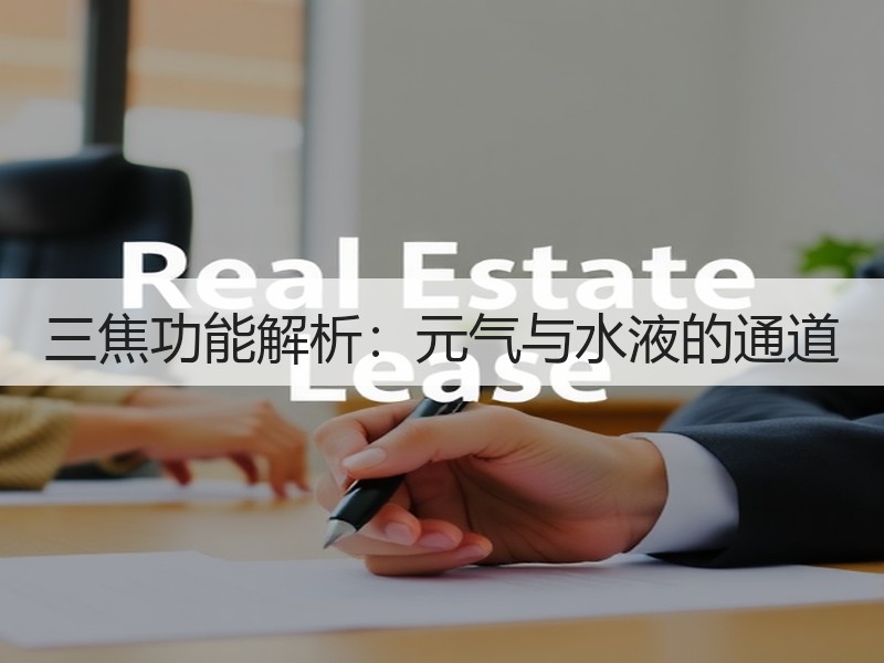 三焦功能解析：元气与水液的通道