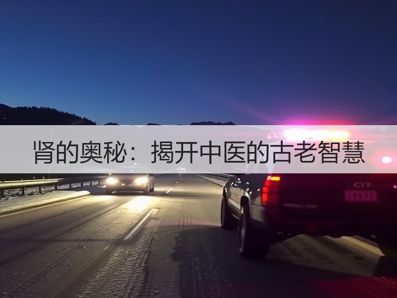 肾的奥秘：揭开中医的古老智慧