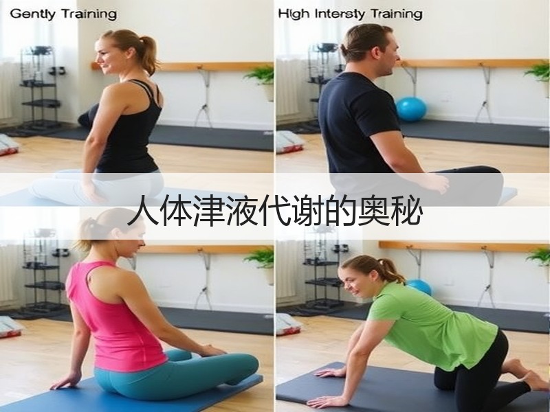 人体津液代谢的奥秘