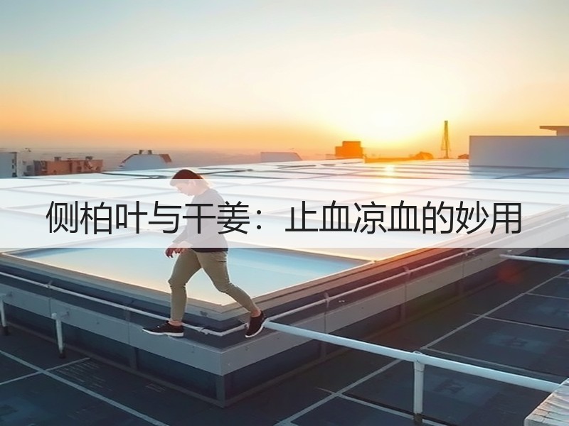 侧柏叶与干姜：止血凉血的妙用