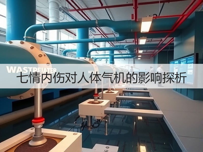 七情内伤对人体气机的影响探析